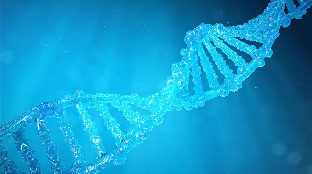 Study Finds Epigenetic System Of Inheritance Dominates Over Genetic Mutations In Unstable Environments