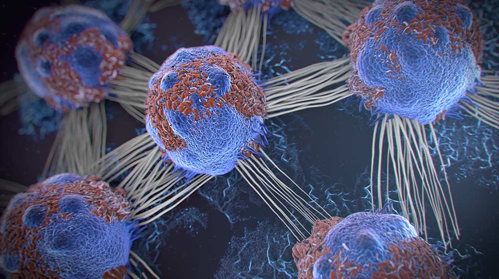 Investigating Cancer Mechanism Using Universally Specific Biomarkers In Pan-Cancer Categories
