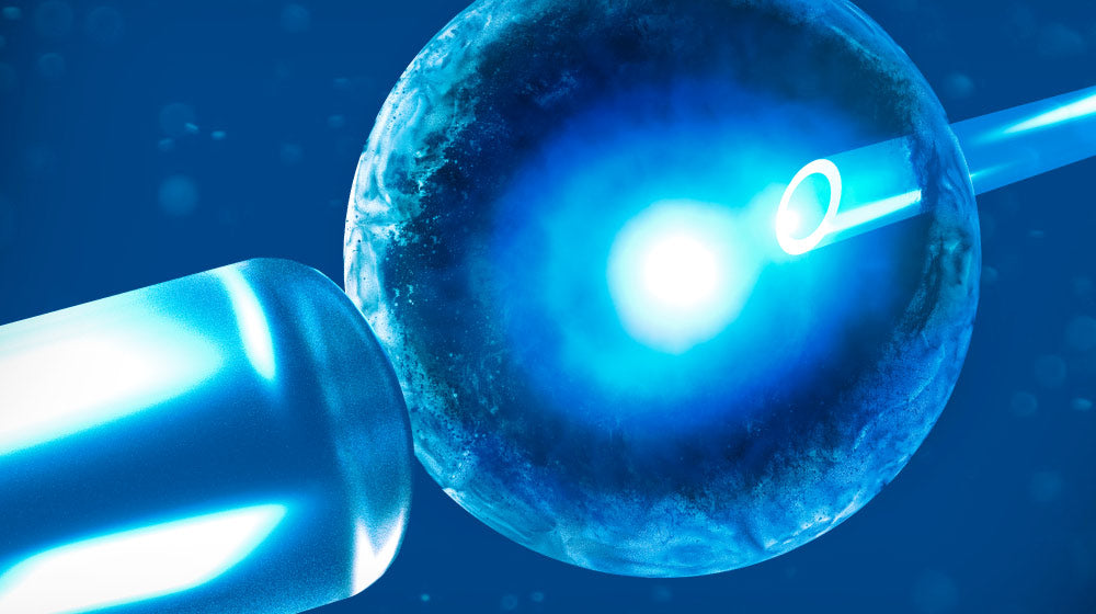 Elimination Of Senescent Cells Improves Cognitive Function In Neurodegenerative Diseases Caused By Aging